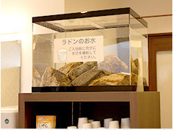 ラドンのお水