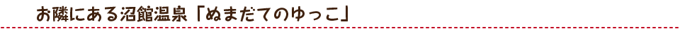 ご宿泊のお客様に限り、ご入浴希望の方には無料券をお渡ししています